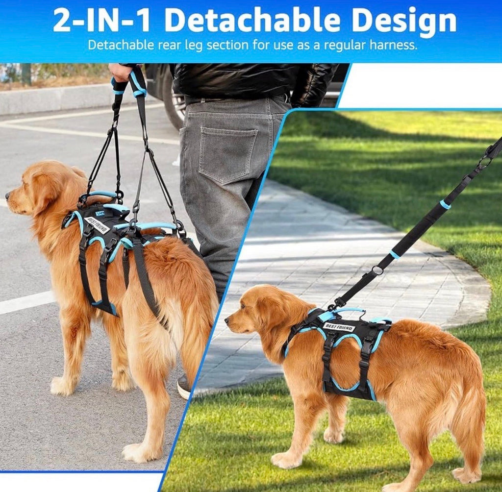 Dog Lift Harness for Large Male Dogs, 2-in-1, Back Leg Support & Mobility Assistance for Senior Dogs, Post-Surgery Recovery Sling (Black & Blue, Large)