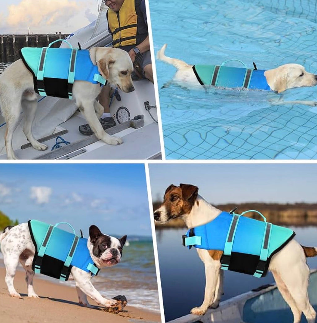 Doglay Dog Life Jacket, Life Vest for Swimming and Boating, Adjustable Puppy Life Jacket with Reflective Stripes, Superior Buoyancy Pet Swimming Vest for Extra Small Dogs