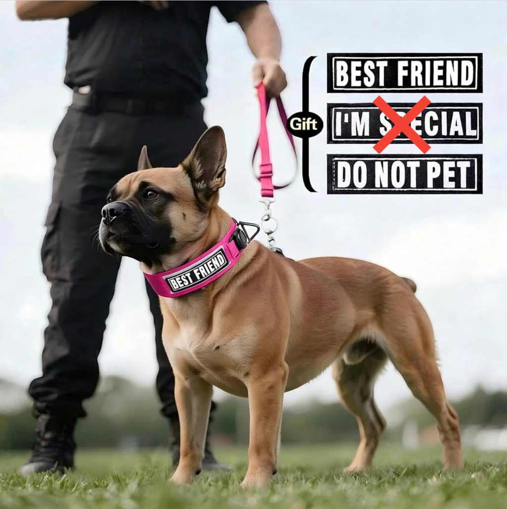 Tactical Dog Collar with Airtag Holder for Medium Dogs, 2" Wide Pink Collar
Gift 3 Patches, Military Heavy Duty Dog Collar with AirTag Holder & Metal Buckle & Soft Padding for Walking, Hiking, Training