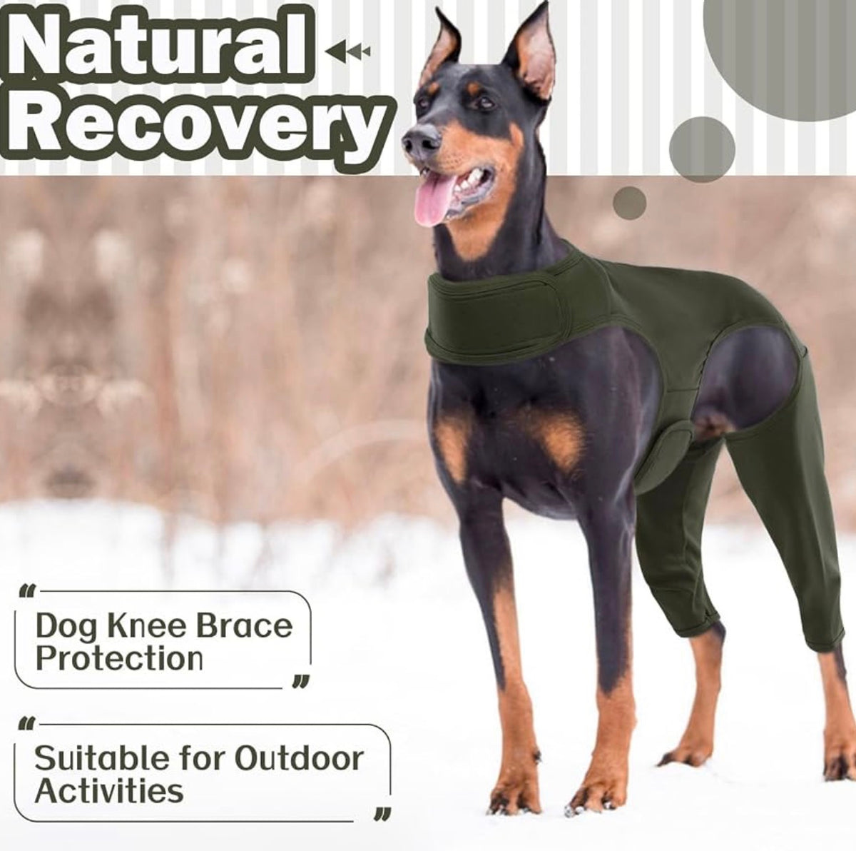 Dog Rear Leg Sleeve to Prevent Licking Skin Wound Help Recovery Suit, Hind Leg Incisions, Long Time Comfort, Fast & Easy Dressing, Secure Comfortable Fit, Cone Alternative, Daily Wear Pants