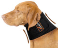Dog Neck Brace with Hot/Cold Compress,
Cervical Spine Support Collar for Dogs with IVDD, Neck Pain, Injury & Post-Surgery Recovery - Size Large