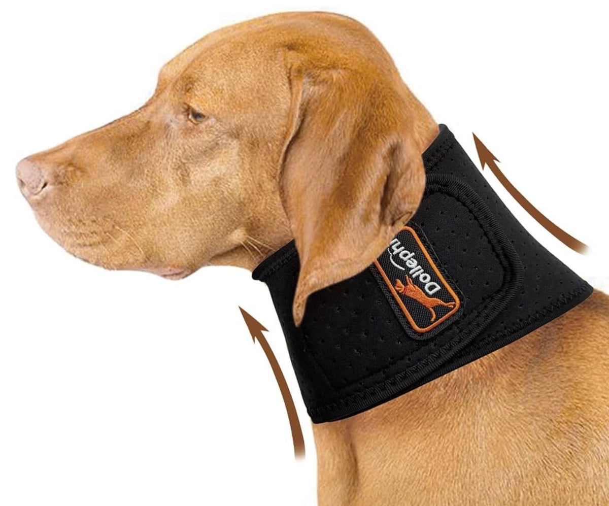 Dog Neck Brace with Hot/Cold Compress,
Cervical Spine Support Collar for Dogs with IVDD, Neck Pain, Injury & Post-Surgery Recovery - Size Large