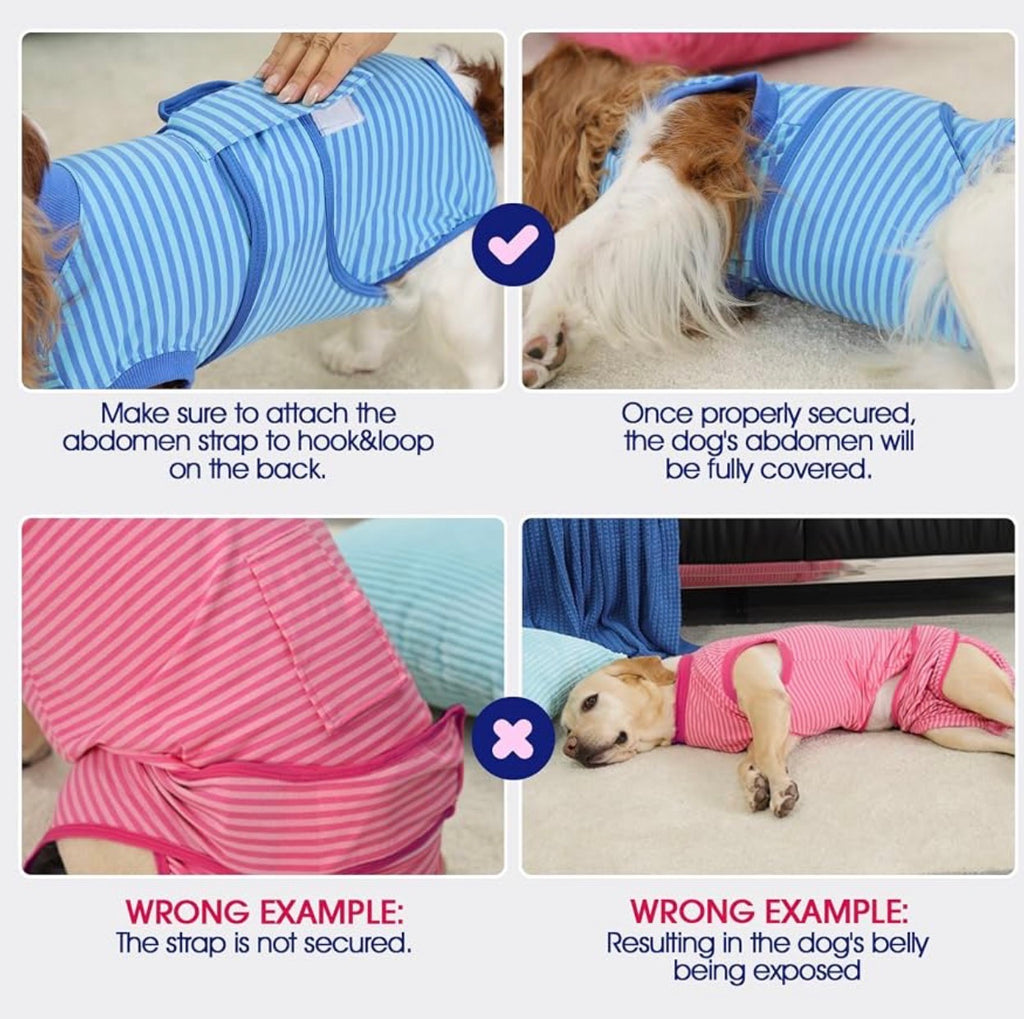 Dog Surgery Recovery Suit, Soft Breathable Neuter Suit for Male Dogs, Post Neuter Surgery Suit, Alternative to Cone of Shame, Wound Care for Dogs, Anti-lick Dog Recovery Suit Camouflage, Medium