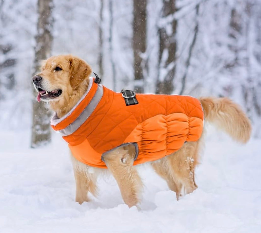 Dog Coat Warm Dog Winter Coat Waterproof Dogs Jacket with Harness
Reflective Pet Fleece Vest Zip-Up Cold Weather Coats for Large Dogs Turtleneck Windproof Coats Boxer Blaze Orange XL