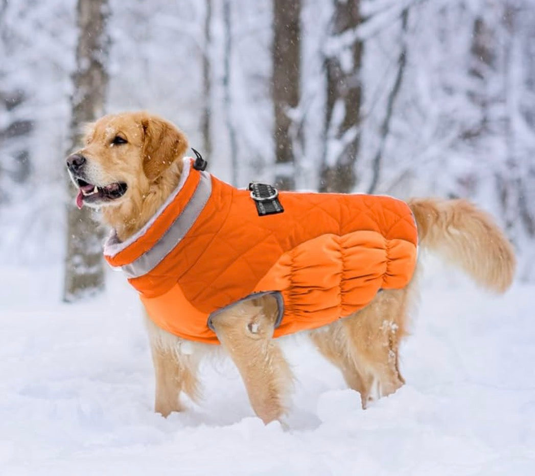 Dog Coat Warm Dog Winter Coat Waterproof Dogs Jacket with Harness
Reflective Pet Fleece Vest Zip-Up Cold Weather Coats for Large Dogs Turtleneck Windproof Coats Boxer Blaze Orange XL