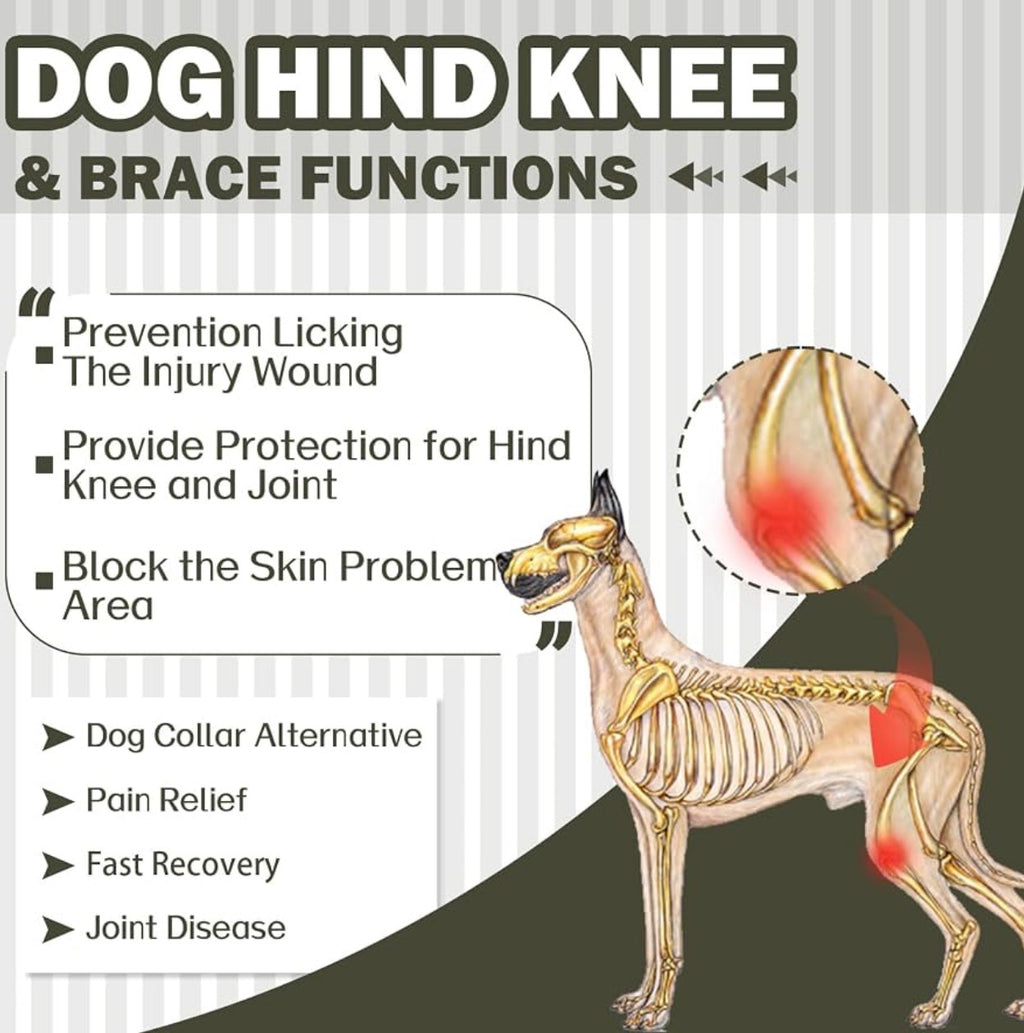 Dog Rear Leg Sleeve to Prevent Licking Skin Wound Help Recovery Suit, Hind Leg Incisions, Long Time Comfort, Fast & Easy Dressing, Secure Comfortable Fit, Cone Alternative, Daily Wear Pants