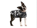 Dog Surgery Recovery Suit, Soft Breathable Neuter Suit for Male Dogs, Post Neuter Surgery Suit, Alternative to Cone of Shame, Wound Care for Dogs, Anti-lick Dog Recovery Suit Camouflage, Medium