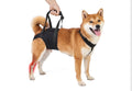 Dog Sling for Large Dogs Hind Leg Support, Dog Back Leg Lift Harness
Help Large Breed Rear Leg Up, Senior Dog Lift Assist for Weak Back Leg, Mobility Aid for Elderly, Injured, Paralyzed Dog, Small