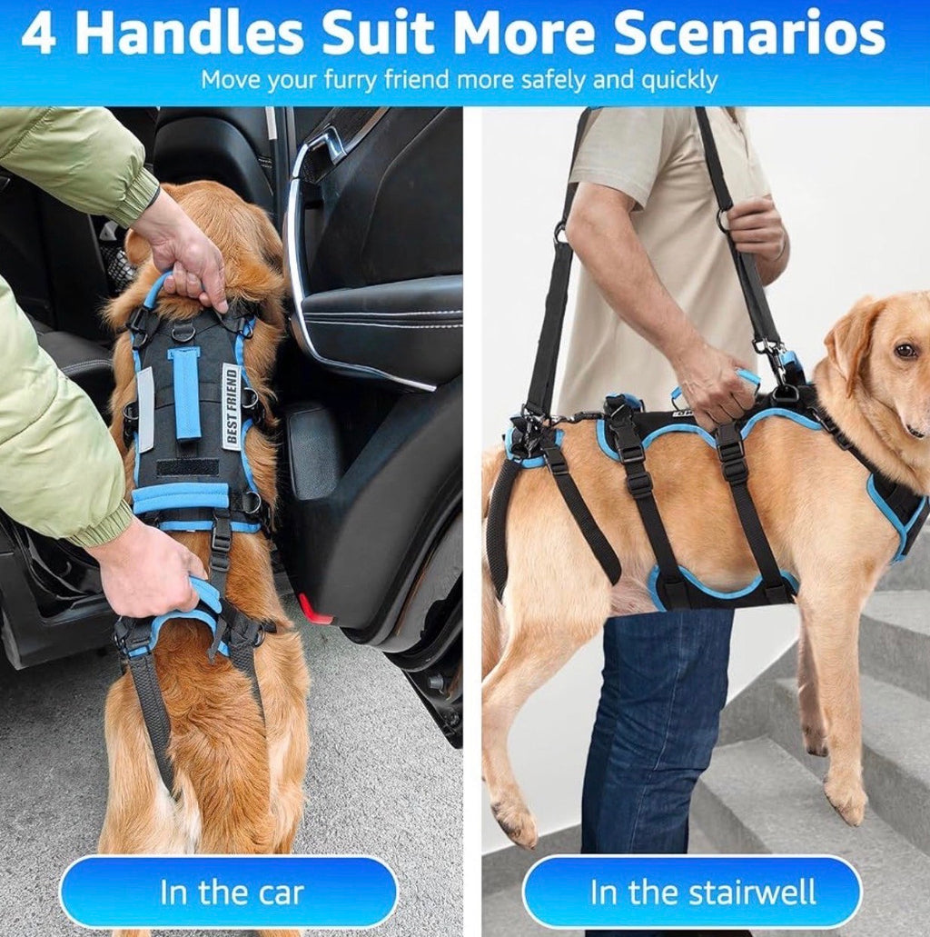Dog Lift Harness for Large Male Dogs, 2-in-1, Back Leg Support & Mobility Assistance for Senior Dogs, Post-Surgery Recovery Sling (Black & Blue, Large)