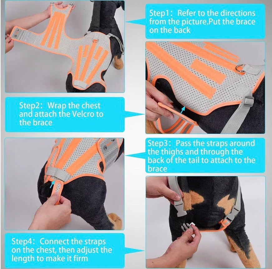Dog Back Brace for Arthritis, Dog Hip Brace for IVDD, Frame Support Harness for Back，Keeps The Back Stable and Reduces Movements and Pain - Medium