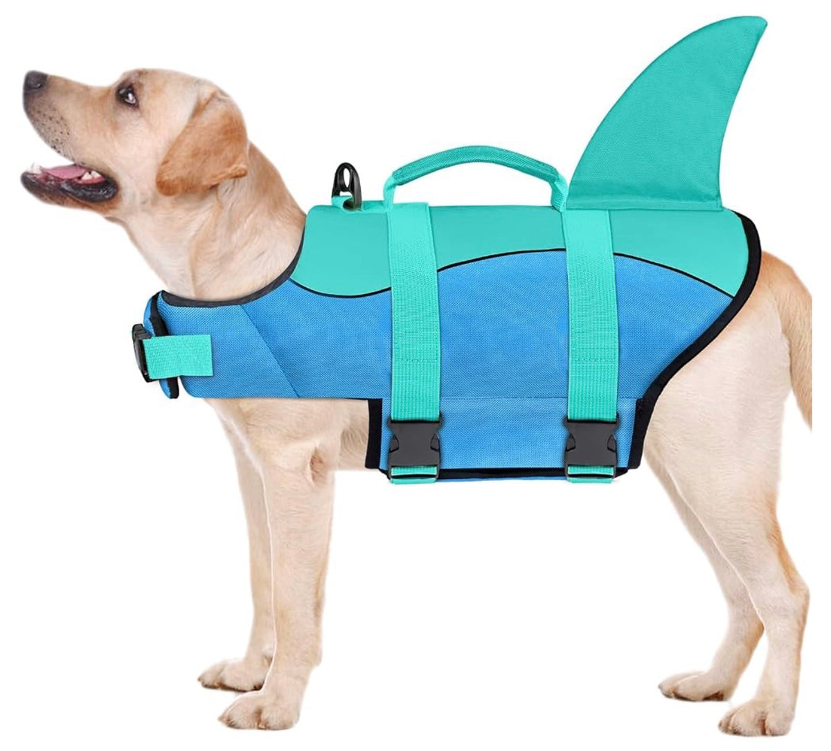 Malier Dog Life Jacket, Ripstop Dog Life Vest with High Buoyancy for Swimming Boating, High Visibility, Shark Puppy Lifesaver for Small Medium Large Dogs (Medium)
