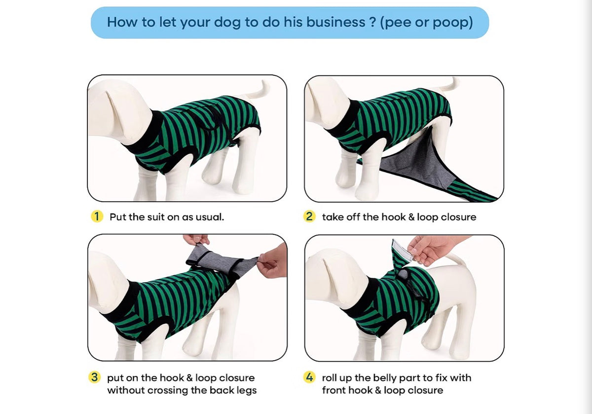 Recovery Suit for Dogs Cats After Surgery, Green Navy Stripes, Medium, Soft Breathable Fabric, Prevents Licking & Scratching, Easy to Put On, Machine Washable, Post-Surgery, Wound Protection