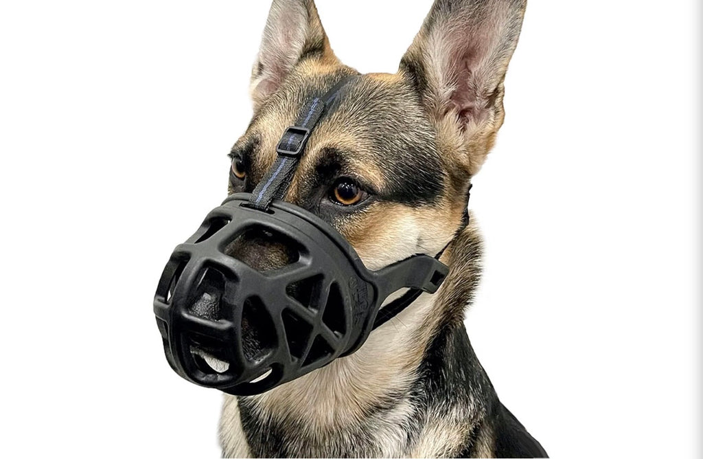 Dog Muzzle, Humane Basket Muzzle for Large Dogs Biting, Scavenging
No Bite Cage Mouth Guard for Large Aggressive Reactive Dogs, Training, Grooming and Walks, Able to Pant and Drink