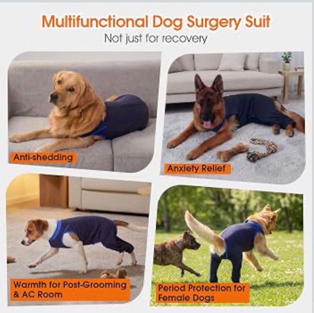 Dog Recovery Suit for Rear Legs, Surgery Onesie, Cone Alternative
Protects rear legs and abdomen from licking and scratching. Breathable recovery suit for male and female dogs after surgery - Large