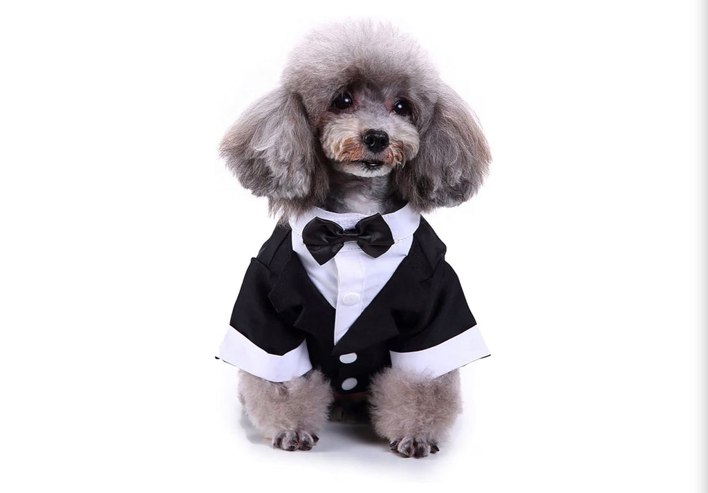 Black & White, Dog Shirt for Wedding, Puppy Tuxedo, Dog Formal Wear, Doggie Tux, Suit and Tie Costume Black, Medium