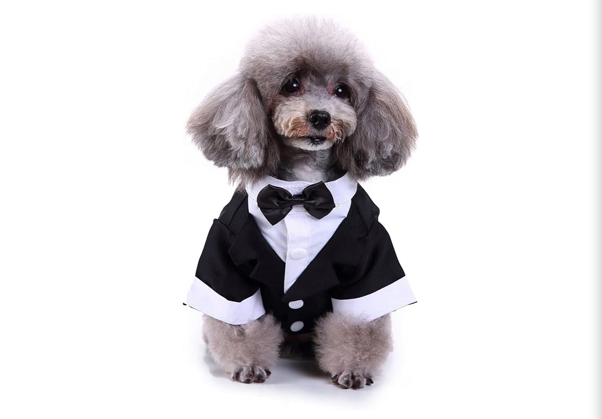 Black & White, Dog Shirt for Wedding, Puppy Tuxedo, Dog Formal Wear, Doggie Tux, Suit and Tie Costume Black, Medium