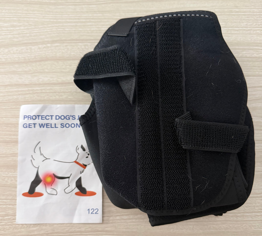 Dog Knee Brace for Torn ACL Hind Leg, Adjustable Dog Leg Braces for Back Leg with 4 Stabilizers for Luxating Patella Relieves Ligament Injury and Joint Pains - Medium