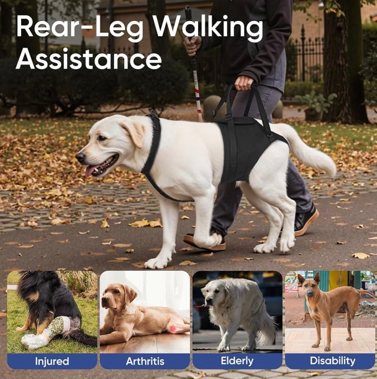 Dog Sling for Large Dogs Hind Leg Support, Dog Back Leg Lift Harness
Help Large Breed Rear Leg Up, Senior Dog Lift Assist for Weak Back Leg, Mobility Aid for Elderly, Injured, Paralyzed Dog, Small