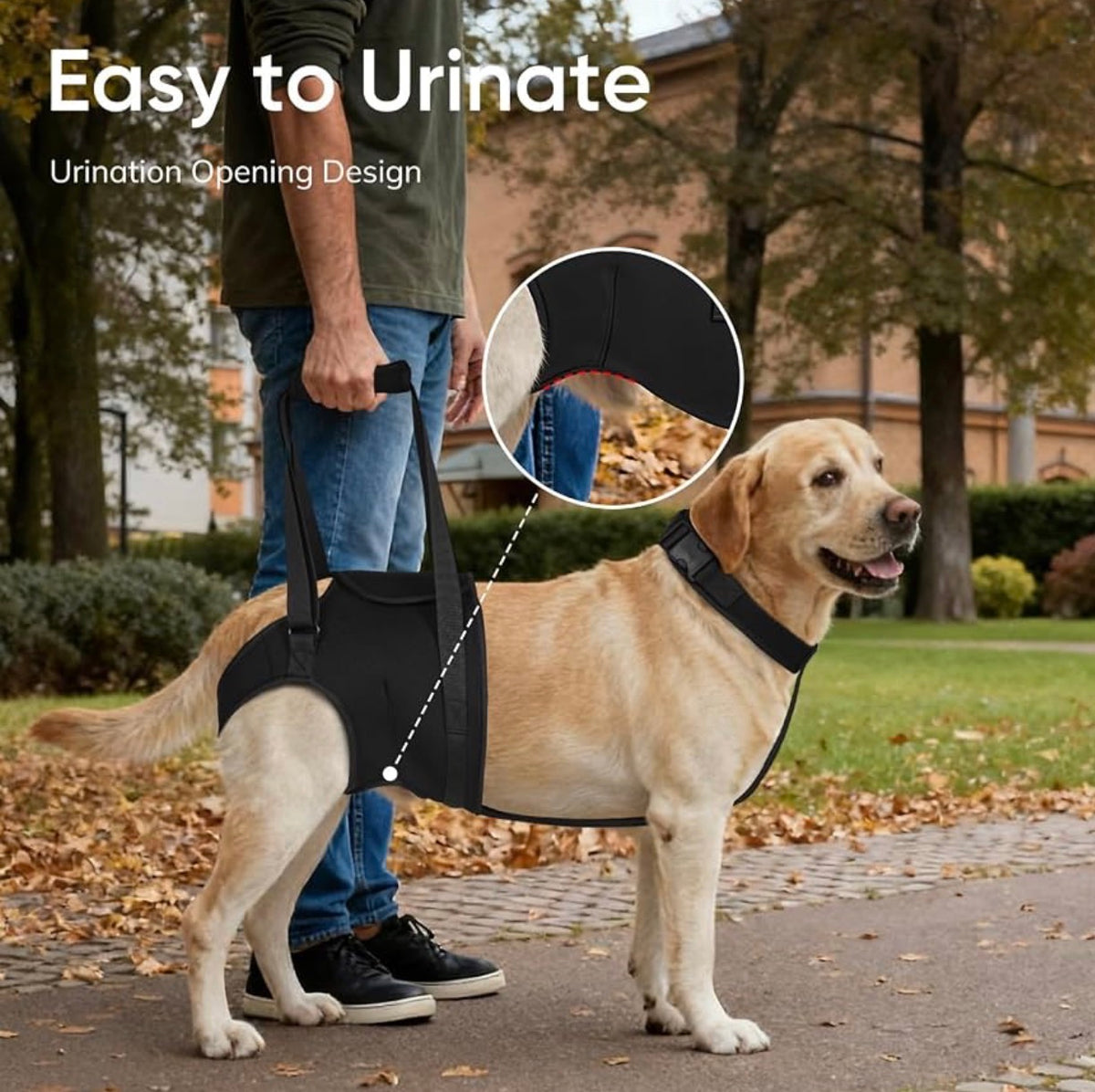 Dog Sling for Large Dogs Hind Leg Support, Dog Back Leg Lift Harness
Help Large Breed Rear Leg Up, Senior Dog Lift Assist for Weak Back Leg, Mobility Aid for Elderly, Injured, Paralyzed Dog, Small