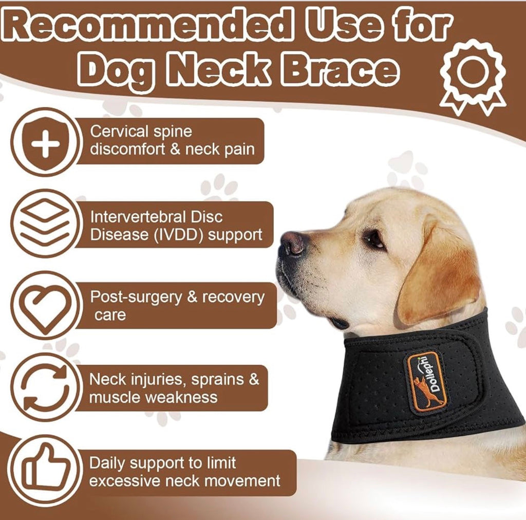Dog Neck Brace with Hot/Cold Compress,
Cervical Spine Support Collar for Dogs with IVDD, Neck Pain, Injury & Post-Surgery Recovery - Size Large