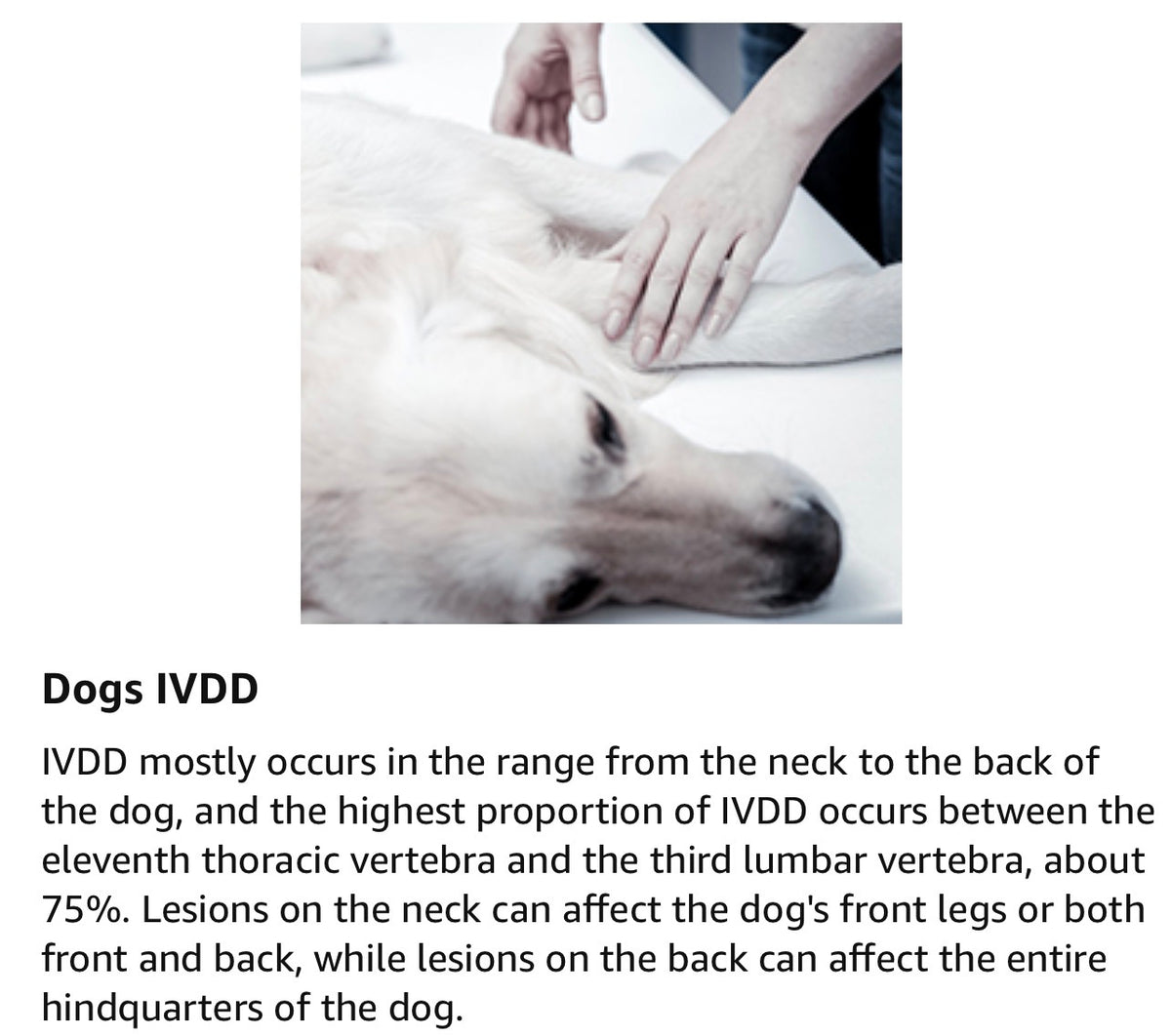 Dog Back Brace for Arthritis, Dog Hip Brace for IVDD, Frame Support Harness for Back，Keeps The Back Stable and Reduces Movements and Pain - Medium
