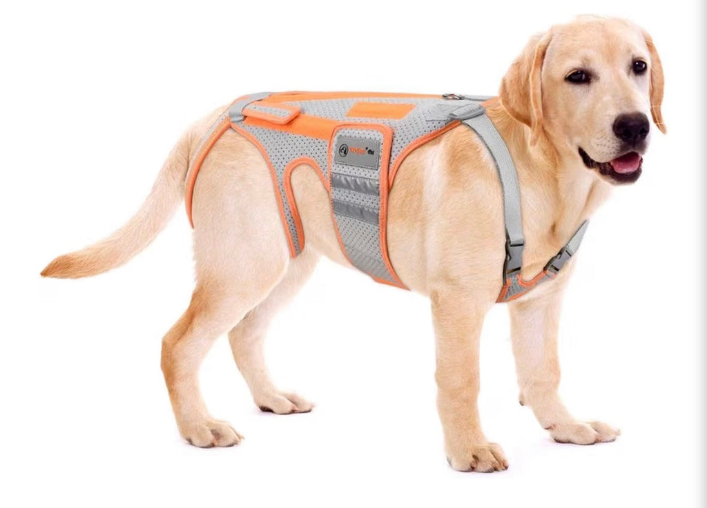 Dog Back Brace for Arthritis, Dog Hip Brace for IVDD, Frame Support Harness for Back，Keeps The Back Stable and Reduces Movements and Pain - Medium