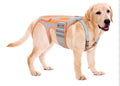 Dog Back Brace for Arthritis, Dog Hip Brace for IVDD, Frame Support Harness for Back，Keeps The Back Stable and Reduces Movements and Pain - Medium