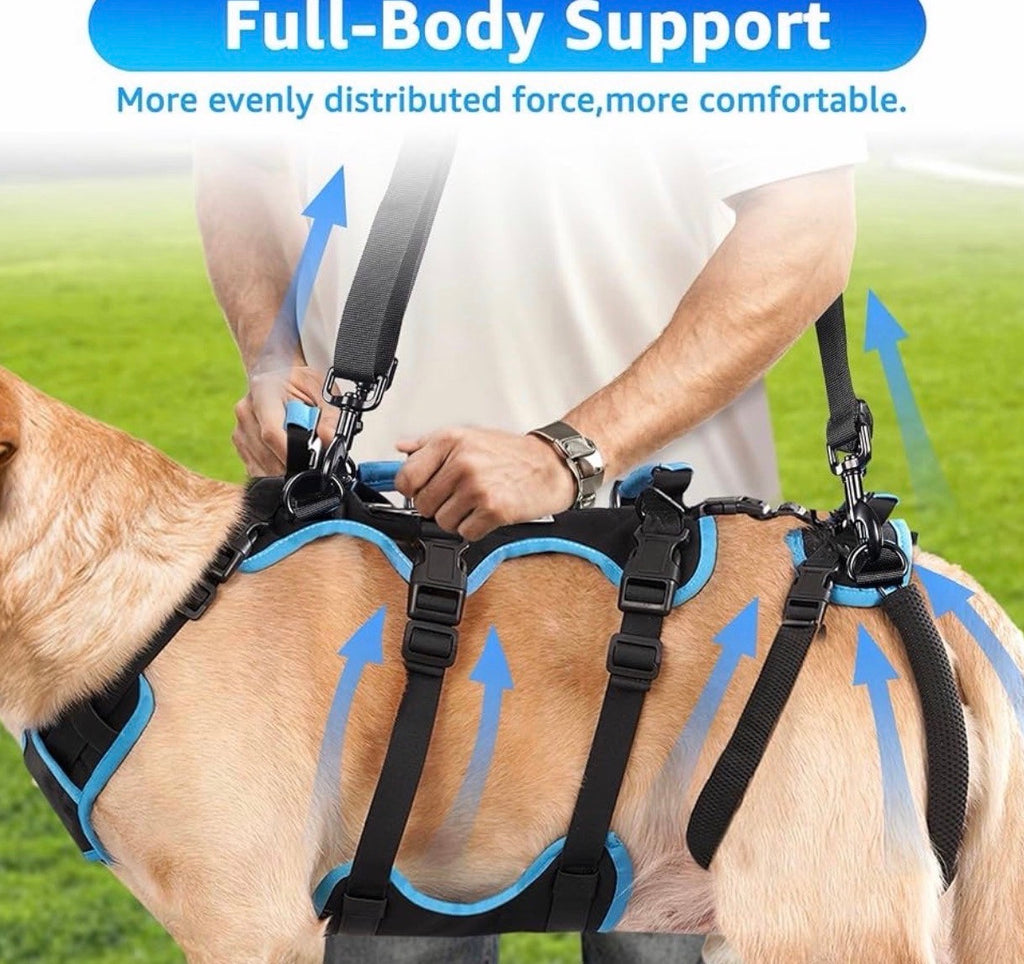 Dog Lift Harness for Large Male Dogs, 2-in-1, Back Leg Support & Mobility Assistance for Senior Dogs, Post-Surgery Recovery Sling (Black & Blue, Large)