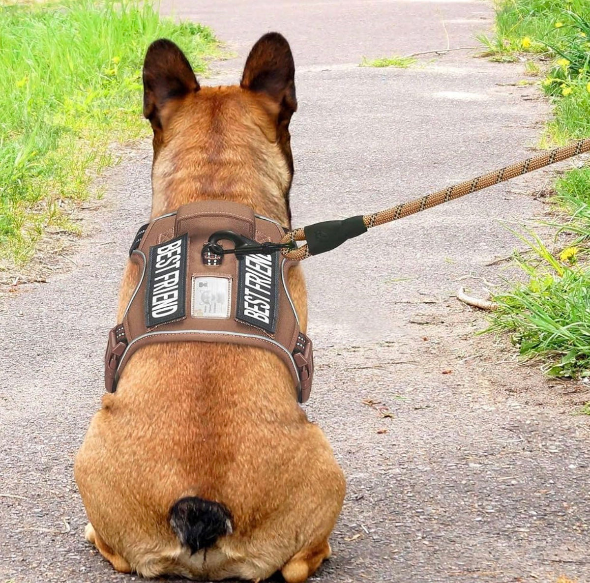 Heavy Duty Tactical Dog Harness for Small Dogs, No Pull Adjustable Pet Harness Reflective Service Training Easy Control Pet Vest Military K9 Working Dog Harnesses- Medium, Brown