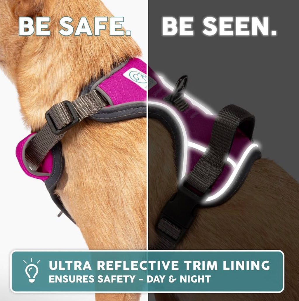 Embark No Pull Dog Harness, Reflective Adjustable Training Vest, No Choke Adjustable straps fit all dog breeds with sturdy hooks; 360° reflective trim, soft padded Harness Design for All Dogs - Hot Pink