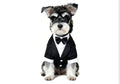 Black & White, Dog Shirt for Wedding, Puppy Tuxedo, Dog Formal Wear, Doggie Tux, Suit and Tie Costume Black, Medium