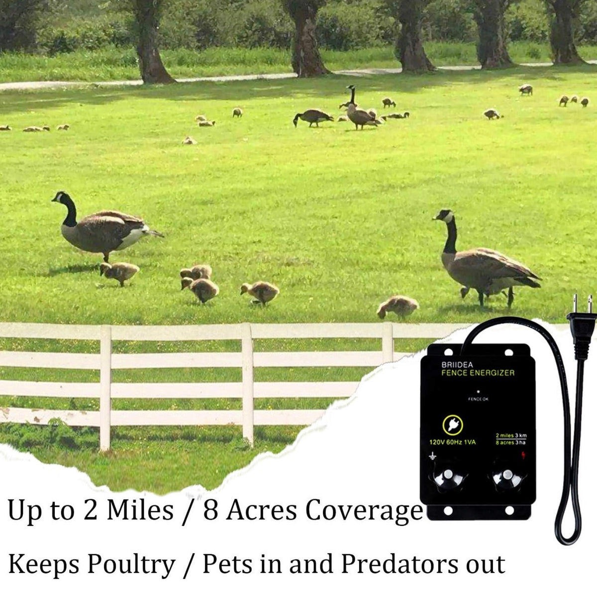 2-Mile Electric Fence Energizer for Preventing Wild Animals Intruding 8 Acres Output Voltage 5000 V 0.1 Joule