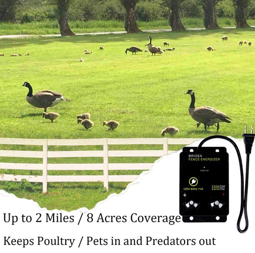 2-Mile Electric Fence Energizer for Preventing Wild Animals Intruding 8 Acres Output Voltage 5000 V 0.1 Joule