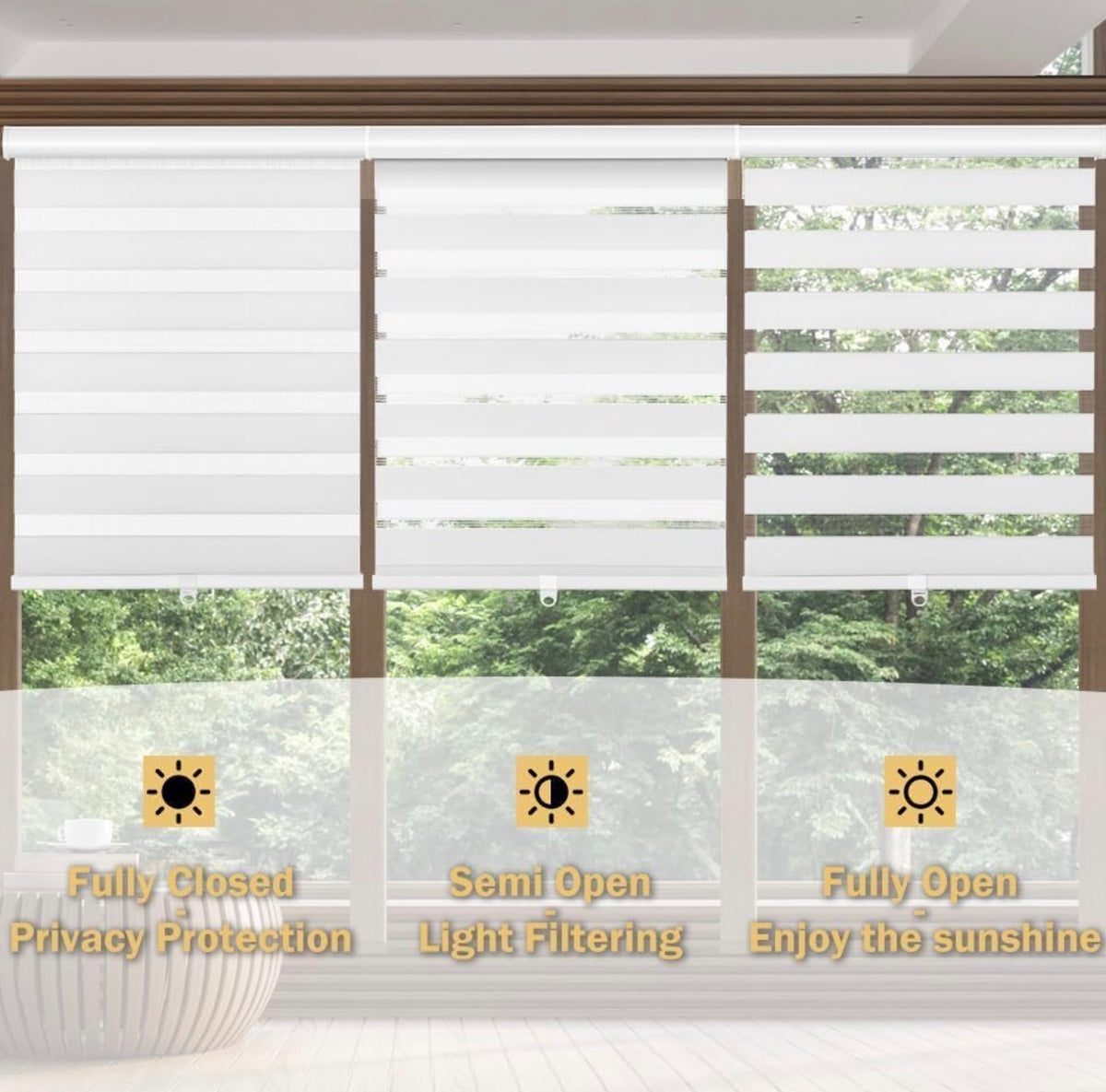 Cordless Zebra Blinds for Windows, 54" W x 72" H Zebra Roller Shades with Valance Free Stop Zebra Roller Shades, Light Control Window Treatments Dual Layer Sheer Blinds for Day and Night, White