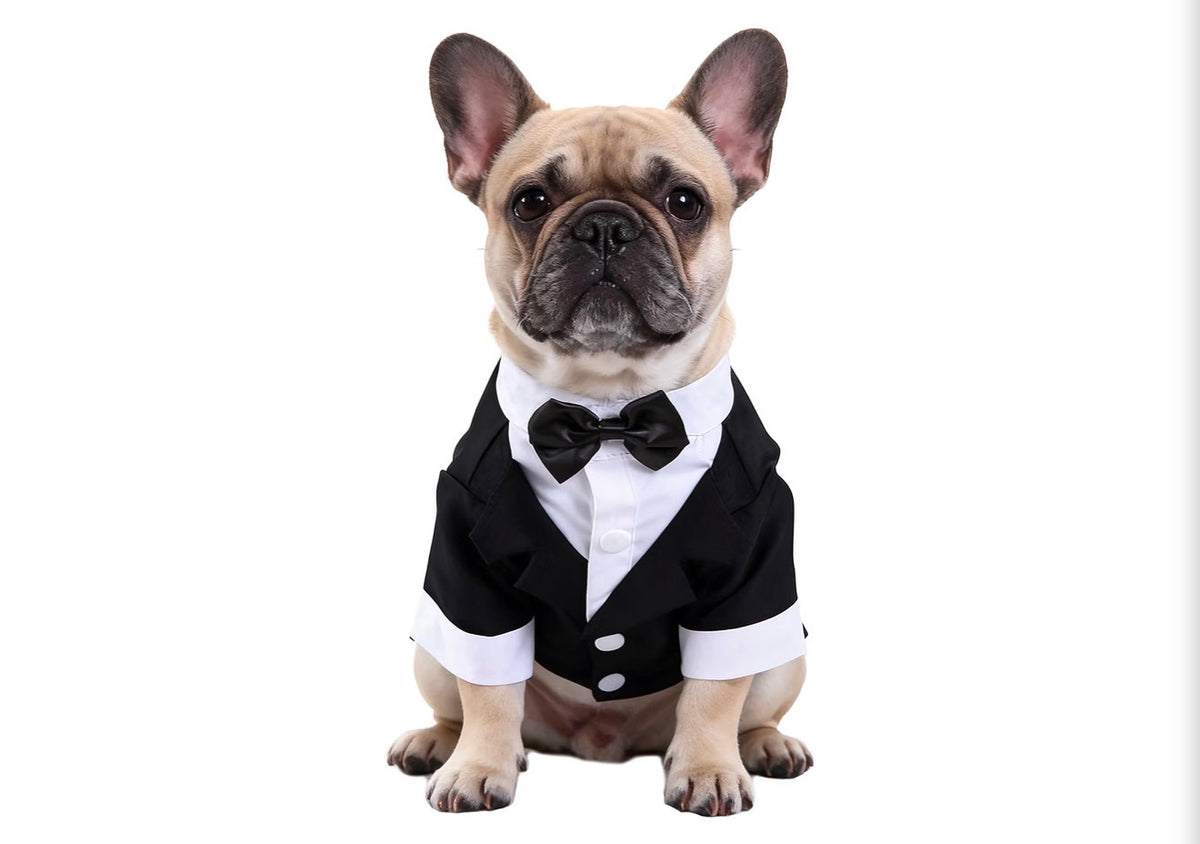 Black & White, Dog Shirt for Wedding, Puppy Tuxedo, Dog Formal Wear, Doggie Tux, Suit and Tie Costume Black, Medium