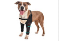 Dog Elbow Protector Brace for Hygroma, Calluses & Arthritis Relief–Adjustable Dogs Elbows Pads & Shoulder Brace for Elbow Dysplasia and Injury Recovery, Both Leg XL