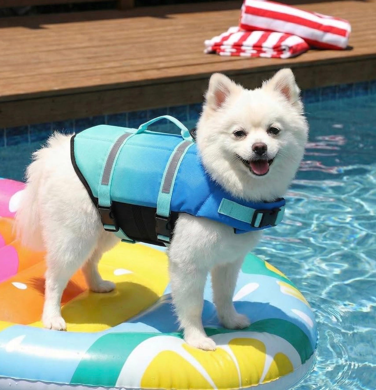 Doglay Dog Life Jacket, Life Vest for Swimming and Boating, Adjustable Puppy Life Jacket with Reflective Stripes, Superior Buoyancy Pet Swimming Vest for Extra Small Dogs