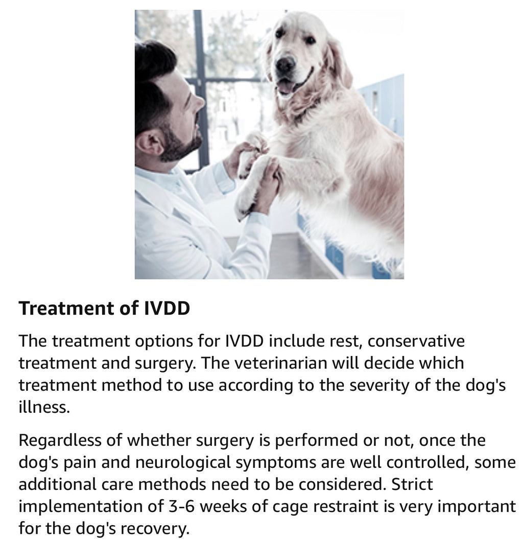 Dog Back Brace for Arthritis, Dog Hip Brace for IVDD, Frame Support Harness for Back，Keeps The Back Stable and Reduces Movements and Pain - Medium