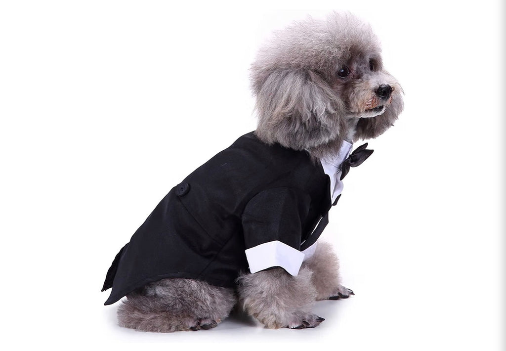 Black & White, Dog Shirt for Wedding, Puppy Tuxedo, Dog Formal Wear, Doggie Tux, Suit and Tie Costume Black, Medium