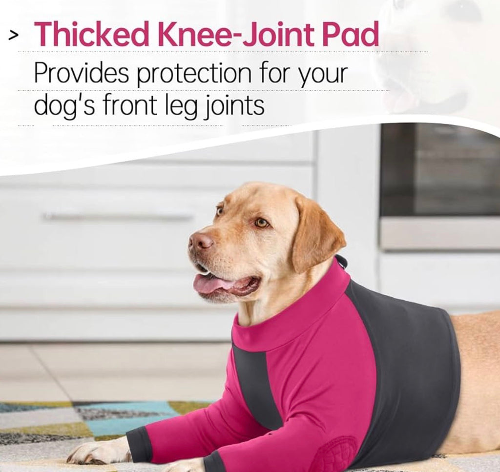 Lelepet Dog Recovery Sleeve, Dog Long Sleeve Shirt Stop Licking, Large,
Surgery Recovery Suit for Front Legs Shoulder Chest Wounds Skin Conditions Leg Sleeve for itching with Arms Elbow Protector