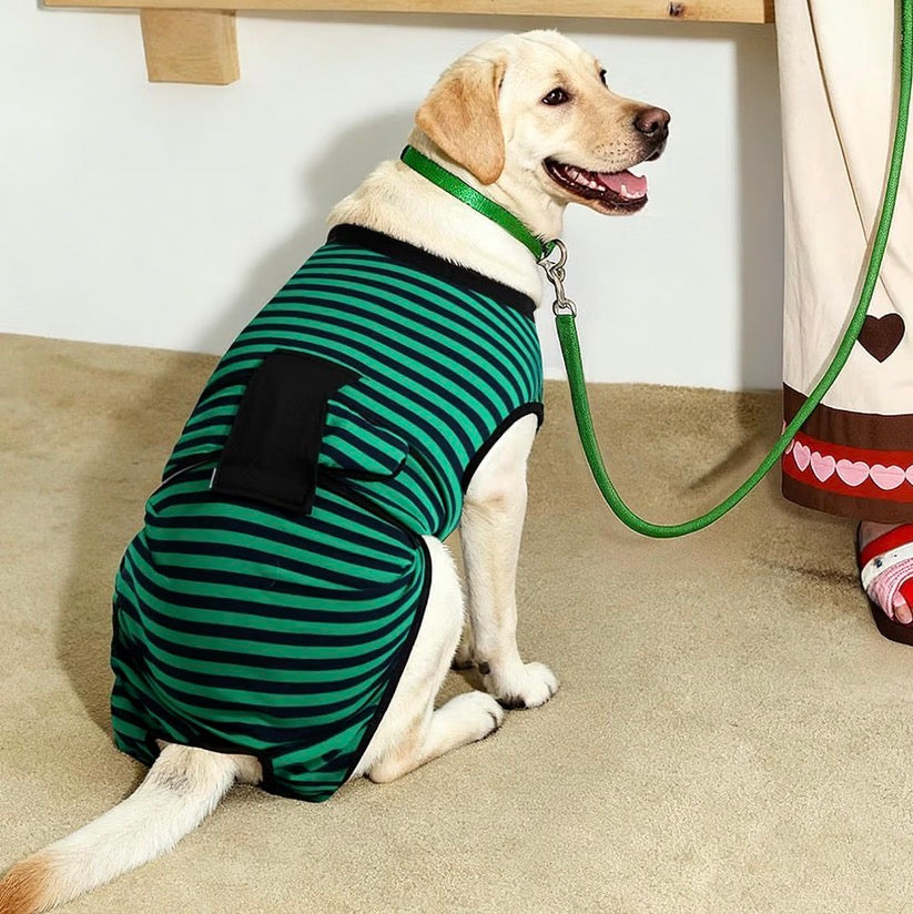 Recovery Suit for Dogs Cats After Surgery, Green Navy Stripes, Medium, Soft Breathable Fabric, Prevents Licking & Scratching, Easy to Put On, Machine Washable, Post-Surgery, Wound Protection