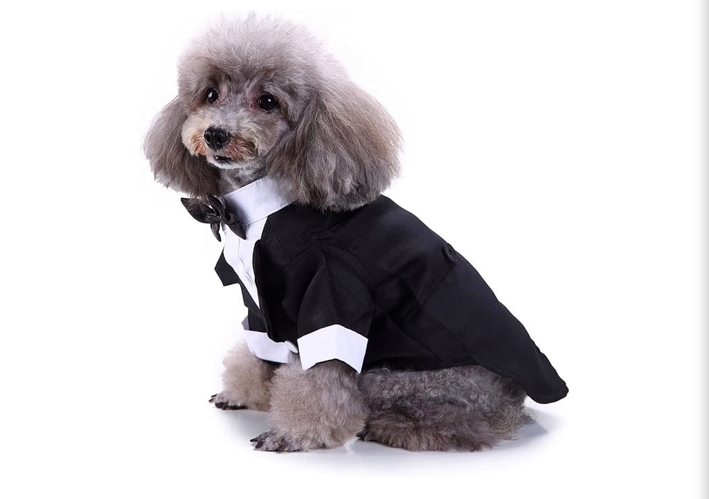 Black & White, Dog Shirt for Wedding, Puppy Tuxedo, Dog Formal Wear, Doggie Tux, Suit and Tie Costume Black, Medium