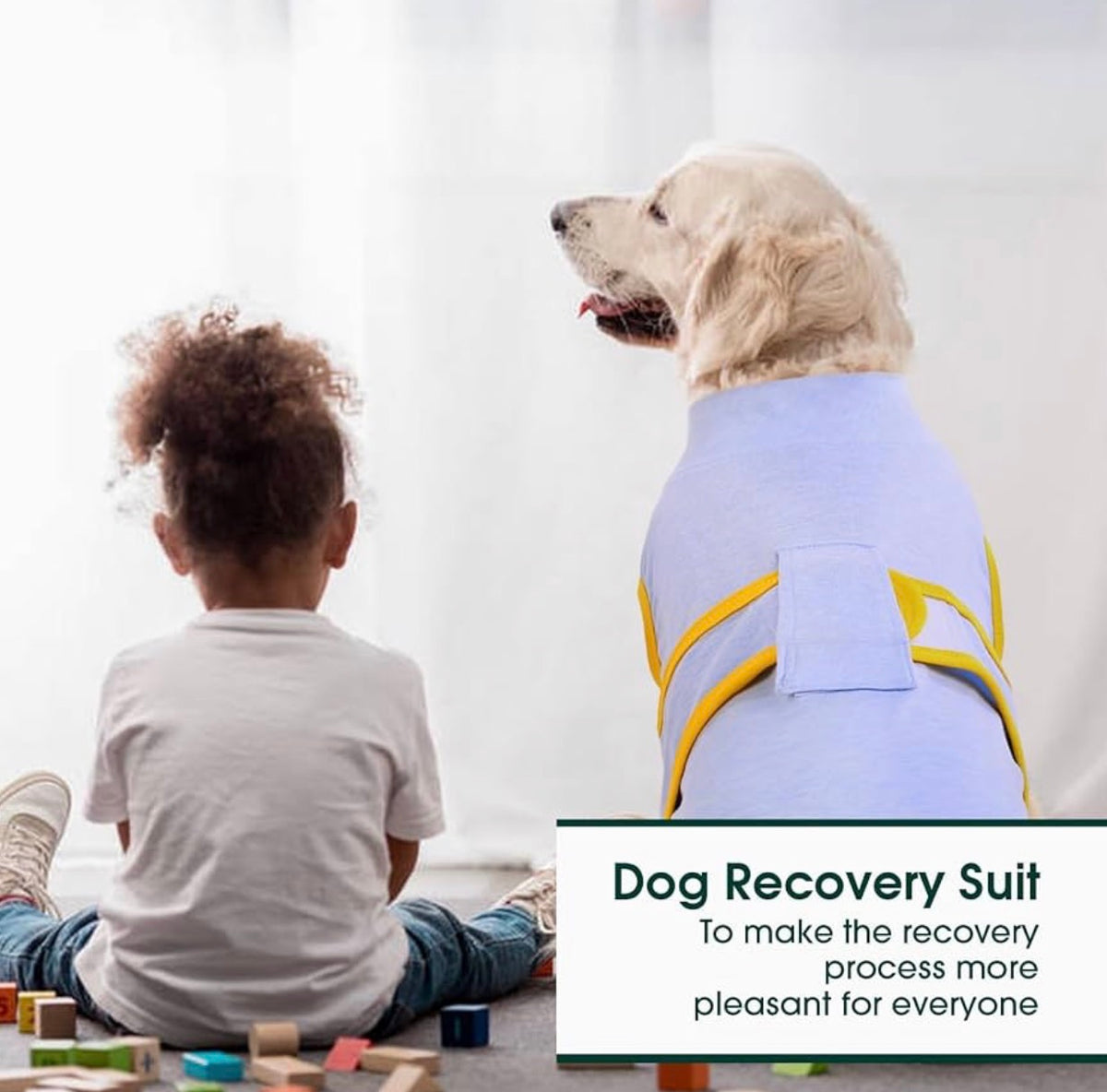 Kuoser Recovery Suit for Dogs Cats, Soft Dog Surgery Suit Female Male Spay
Professional Dog Onesie for Surgery, Substitute E-Collar & Cone, Prevent Licking Dog surgical suit Pet Neuter Suit