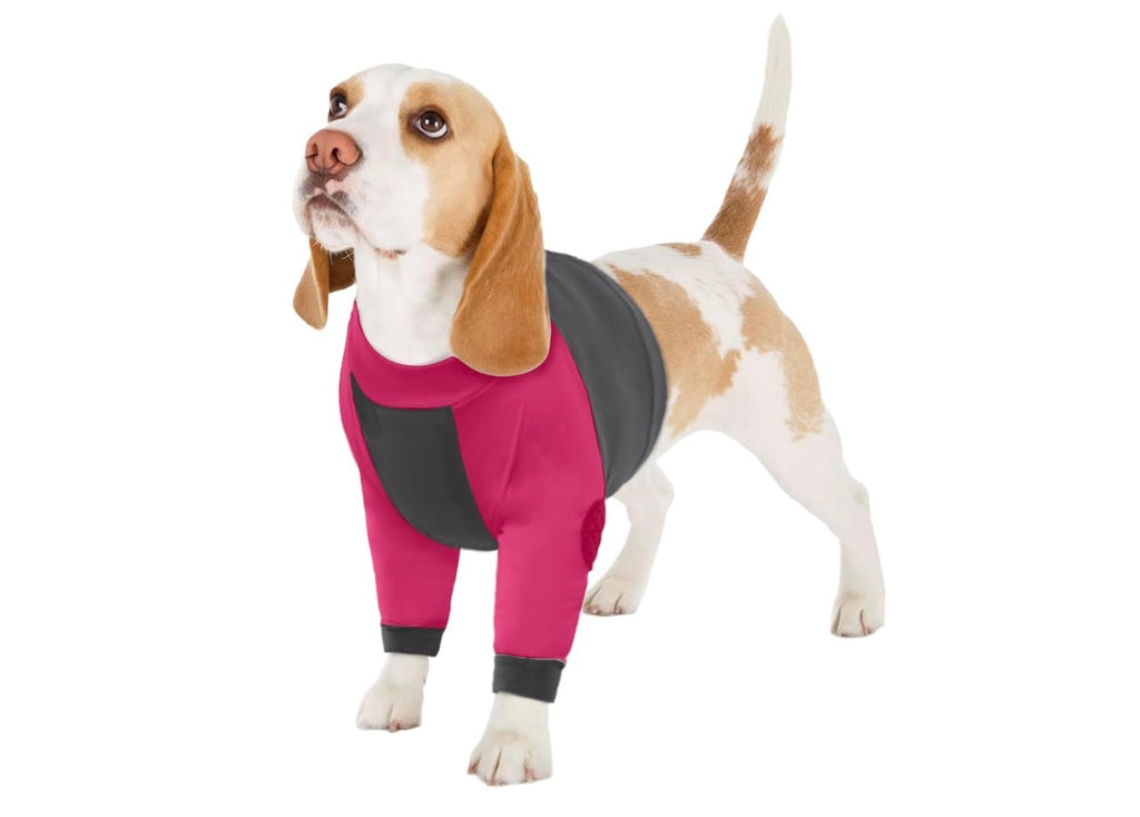 Lelepet Dog Recovery Sleeve, Dog Long Sleeve Shirt Stop Licking, Large,
Surgery Recovery Suit for Front Legs Shoulder Chest Wounds Skin Conditions Leg Sleeve for itching with Arms Elbow Protector