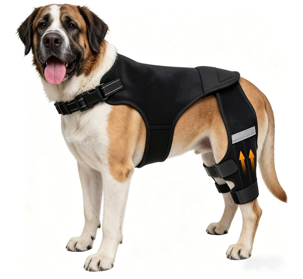 Dog Knee Brace for Torn ACL Hind Leg, Adjustable Dog Leg Braces for Back Leg with 4 Stabilizers for Luxating Patella Relieves Ligament Injury and Joint Pains - Medium