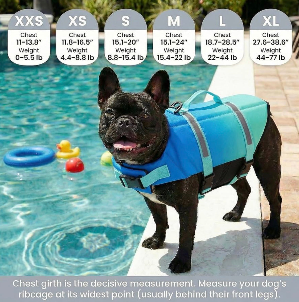 Doglay Dog Life Jacket, Life Vest for Swimming and Boating, Adjustable Puppy Life Jacket with Reflective Stripes, Superior Buoyancy Pet Swimming Vest for Extra Small Dogs