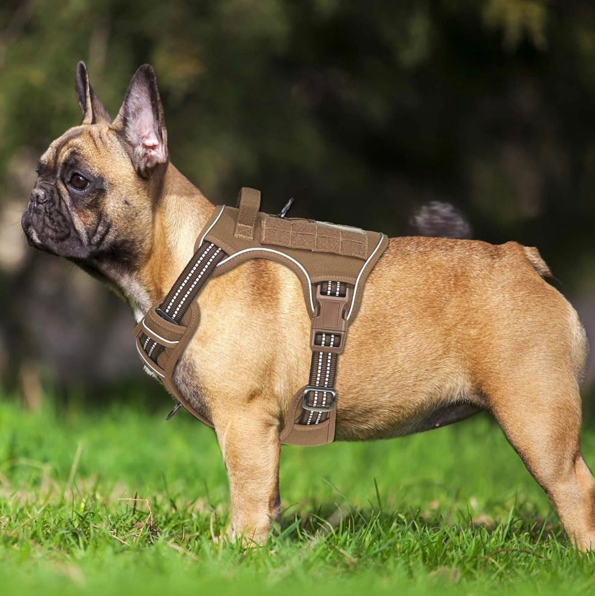 Heavy Duty Tactical Dog Harness for Small Dogs, No Pull Adjustable Pet Harness Reflective Service Training Easy Control Pet Vest Military K9 Working Dog Harnesses- Medium, Brown