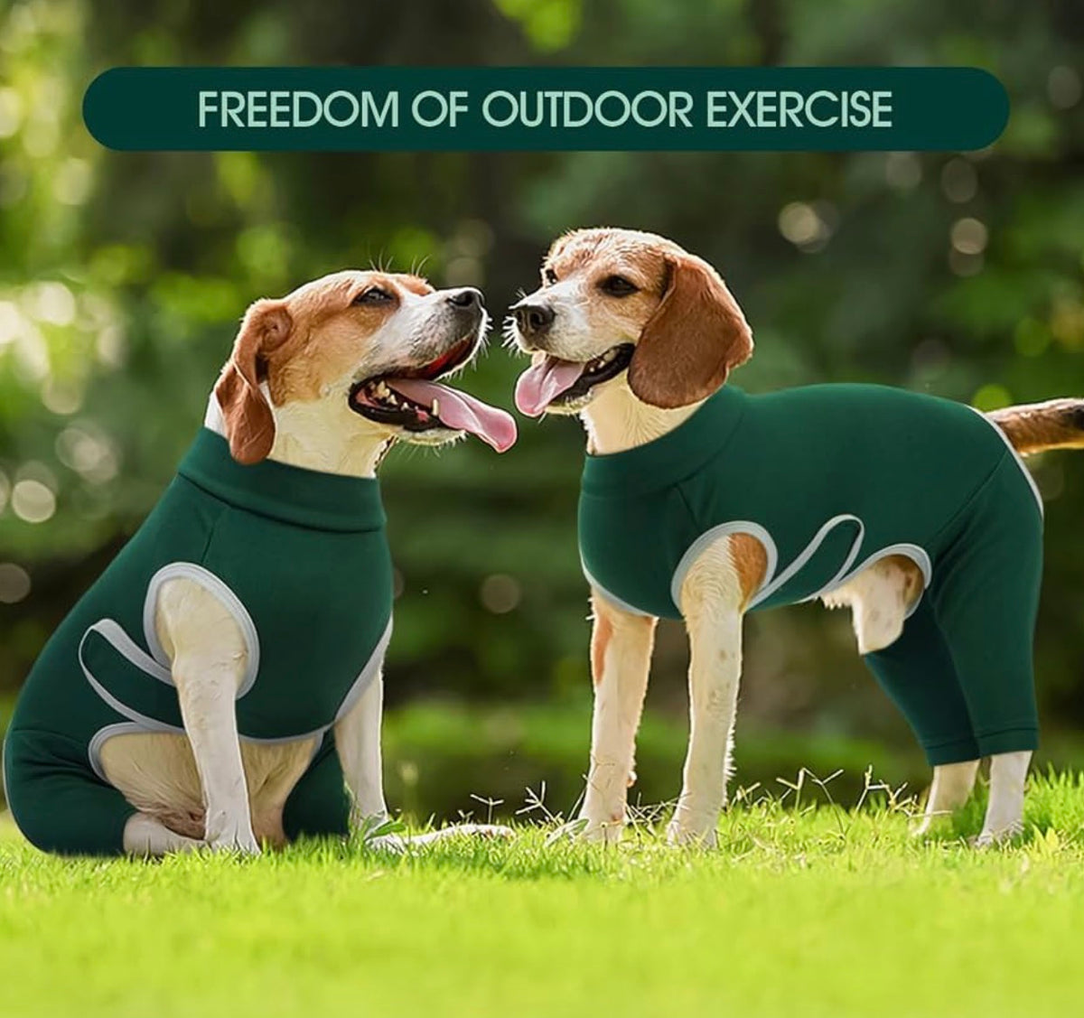 Dog Surgery Recovery Suit, Professional Dog Surgical Suit for Back Legs, Soft Dogs Recovery Sleeve to Prevent Licking Biting Wounds, Dogs Onesie After Surgery Elbow Protector, Green L