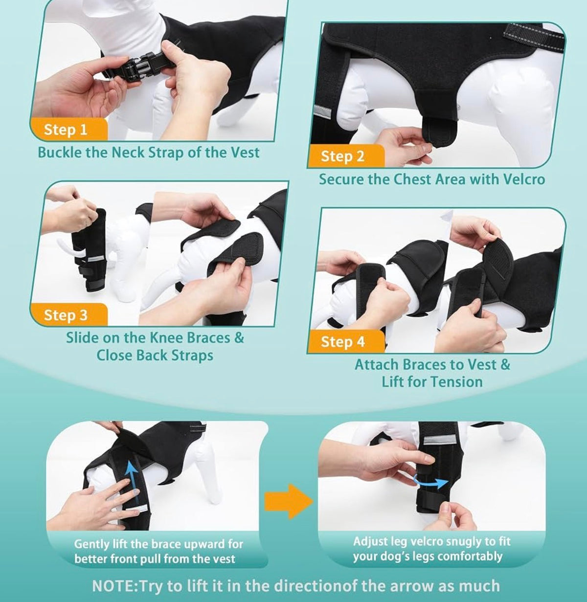 Dog Knee Brace for Torn ACL Hind Leg, Adjustable Dog Leg Braces for Back Leg with 4 Stabilizers for Luxating Patella Relieves Ligament Injury and Joint Pains - Medium