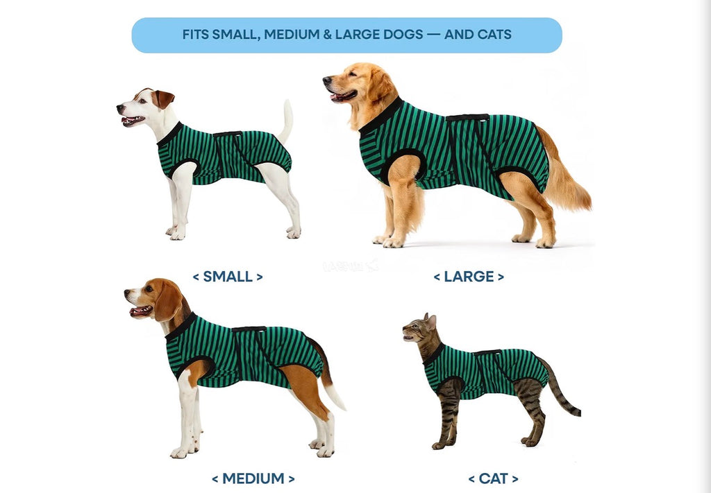 Recovery Suit for Dogs Cats After Surgery, Green Navy Stripes, Medium, Soft Breathable Fabric, Prevents Licking & Scratching, Easy to Put On, Machine Washable, Post-Surgery, Wound Protection